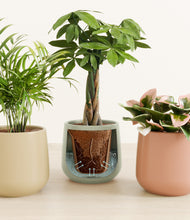 Load image into Gallery viewer, Lily Pad stand:all
