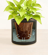 Load image into Gallery viewer, Black stand:all
