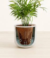 Load image into Gallery viewer, Hammered Ivory stand:all
