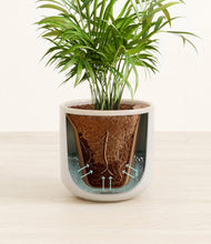 Load image into Gallery viewer, Snowdrift White stand:all
