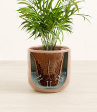 Load image into Gallery viewer, Hammered Peach Pink stand:all
