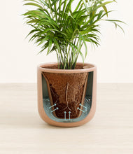 Load image into Gallery viewer, Striped Peach Pink stand:all
