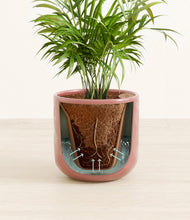 Load image into Gallery viewer, Hammered Rose Pink stand:all
