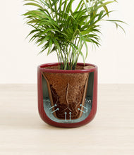 Load image into Gallery viewer, Striped Cherry Red stand:all
