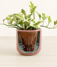 Load image into Gallery viewer, Hammered Rose Pink stand:all
