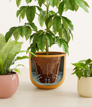 Load image into Gallery viewer, Evening Sky stand:all
