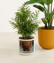 Load image into Gallery viewer, Tiger Lily stand:all
