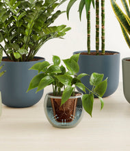 Load image into Gallery viewer, Earthy stand:all
