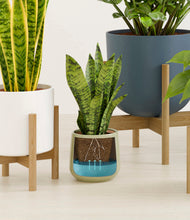 Load image into Gallery viewer, Earthy stand:five_stands

