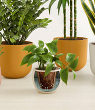 Load image into Gallery viewer, Evening Sky stand:all
