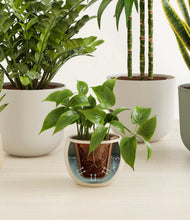 Load image into Gallery viewer, Woodland stand:all
