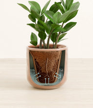 Load image into Gallery viewer, Hammered Peach Pink stand:all
