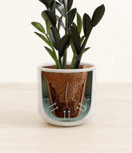 Load image into Gallery viewer, Hammered Ivory stand:all
