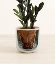 Load image into Gallery viewer, Snowdrift White stand:all
