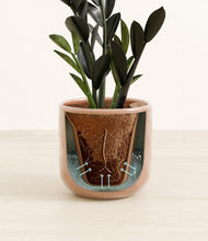 Load image into Gallery viewer, Hammered Peach Pink stand:all
