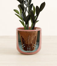 Load image into Gallery viewer, Hammered Rose Pink stand:all
