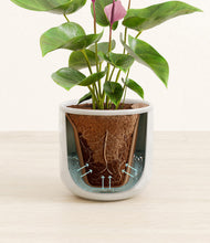 Load image into Gallery viewer, Hammered Ivory stand:all
