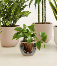 Load image into Gallery viewer, Sandy stand:all
