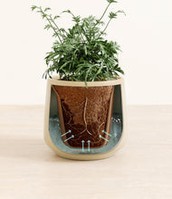 Load image into Gallery viewer, Almond Green stand:all

