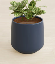 Load image into Gallery viewer, Deep Navy stand:all
