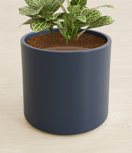 Load image into Gallery viewer, Deep Navy stand:all
