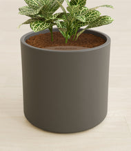 Load image into Gallery viewer, Dark Olive stand:all
