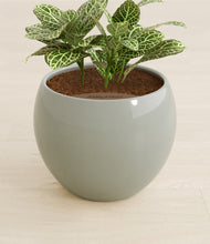 Load image into Gallery viewer, Deep Ocean stand:all
