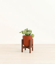 Load image into Gallery viewer, Earth Red stand:walnut
