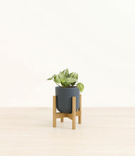Load image into Gallery viewer, Iron Gray stand:bamboo
