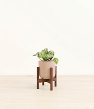 Load image into Gallery viewer, Sandy Pink stand:walnut
