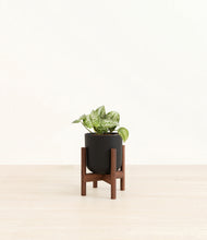 Load image into Gallery viewer, Stone Black stand:walnut

