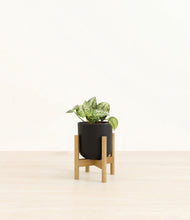 Load image into Gallery viewer, Stone Black stand:bamboo
