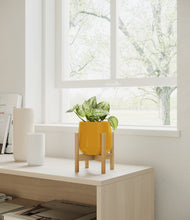 Load image into Gallery viewer, Mustard stand:bamboo
