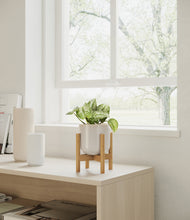 Load image into Gallery viewer, Snowdrift White stand:bamboo
