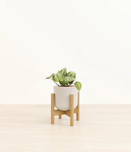 Load image into Gallery viewer, Snowdrift White stand:bamboo
