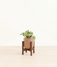 Load image into Gallery viewer, Hammered Peach Pink stand:walnut
