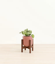 Load image into Gallery viewer, Hammered Rose Pink stand:walnut
