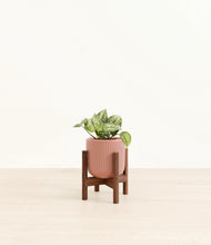 Load image into Gallery viewer, Striped Rose Pink stand:walnut
