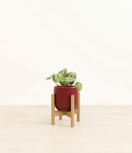 Load image into Gallery viewer, Striped Cherry Red stand:bamboo

