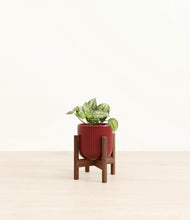 Load image into Gallery viewer, Striped Cherry Red stand:walnut
