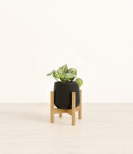 Load image into Gallery viewer, Black stand:bamboo
