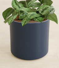 Load image into Gallery viewer, Deep Navy stand:all
