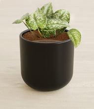 Load image into Gallery viewer, Stone Black stand:all
