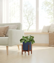 Load image into Gallery viewer, Deep Navy stand:walnut

