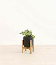 Load image into Gallery viewer, Stone Black stand:bamboo
