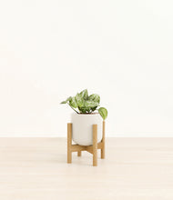 Load image into Gallery viewer, Cotton White stand:bamboo
