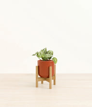 Load image into Gallery viewer, Glossy Red stand:bamboo
