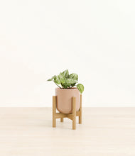 Load image into Gallery viewer, Glossy Pink stand:bamboo
