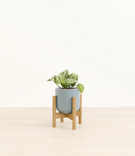 Load image into Gallery viewer, Misty Blue stand:bamboo
