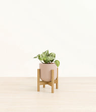 Load image into Gallery viewer, Sandy Pink stand:bamboo
